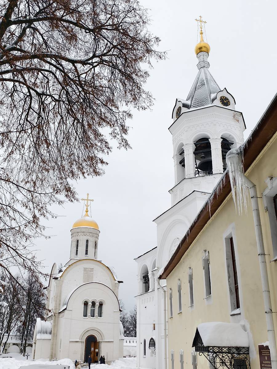 Ансамбль храма в честь Александра Невского в колокольне и Собора в честь Рождества Богородицы, фасады. Богородице-Рождественский мужской монастырь, Владимир (Владимир, город, Владимирская область)