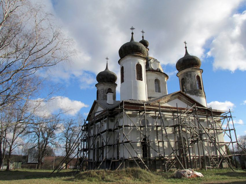 Спасс-Косицы. Церковь Спаса Преображения. документальные фотографии