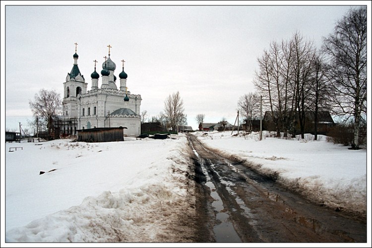 Жестылёво. Церковь Покрова Пресвятой Богородицы. общий вид в ландшафте