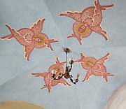 Владимир. Николая Чудотворца (Николо-Галейская), церковь