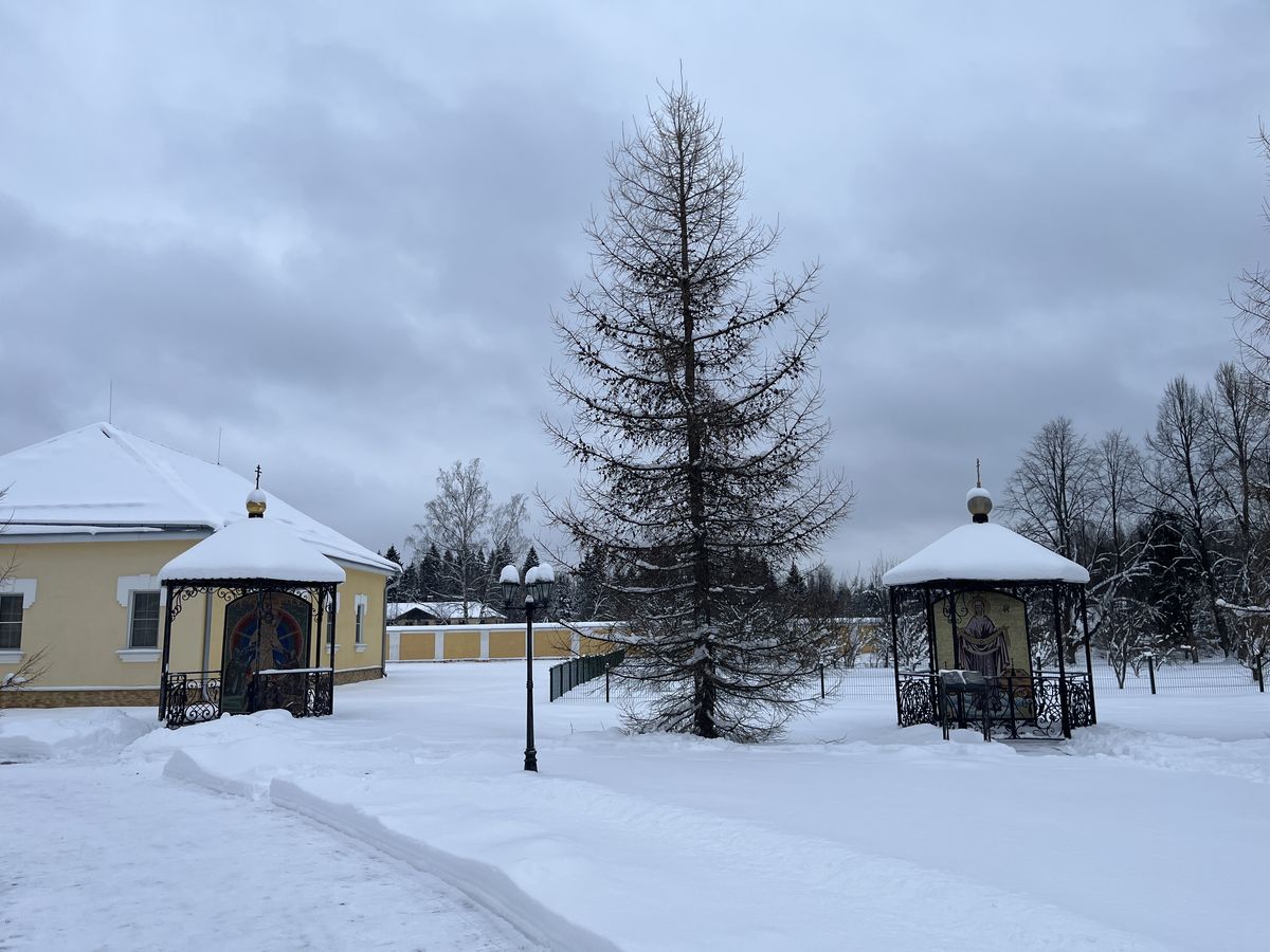 дополнительная информация. Троице-Одигитриевская Зосимова пустынь, Зосимова пустынь (Троицкий административный округ (ТАО), г. Москва)