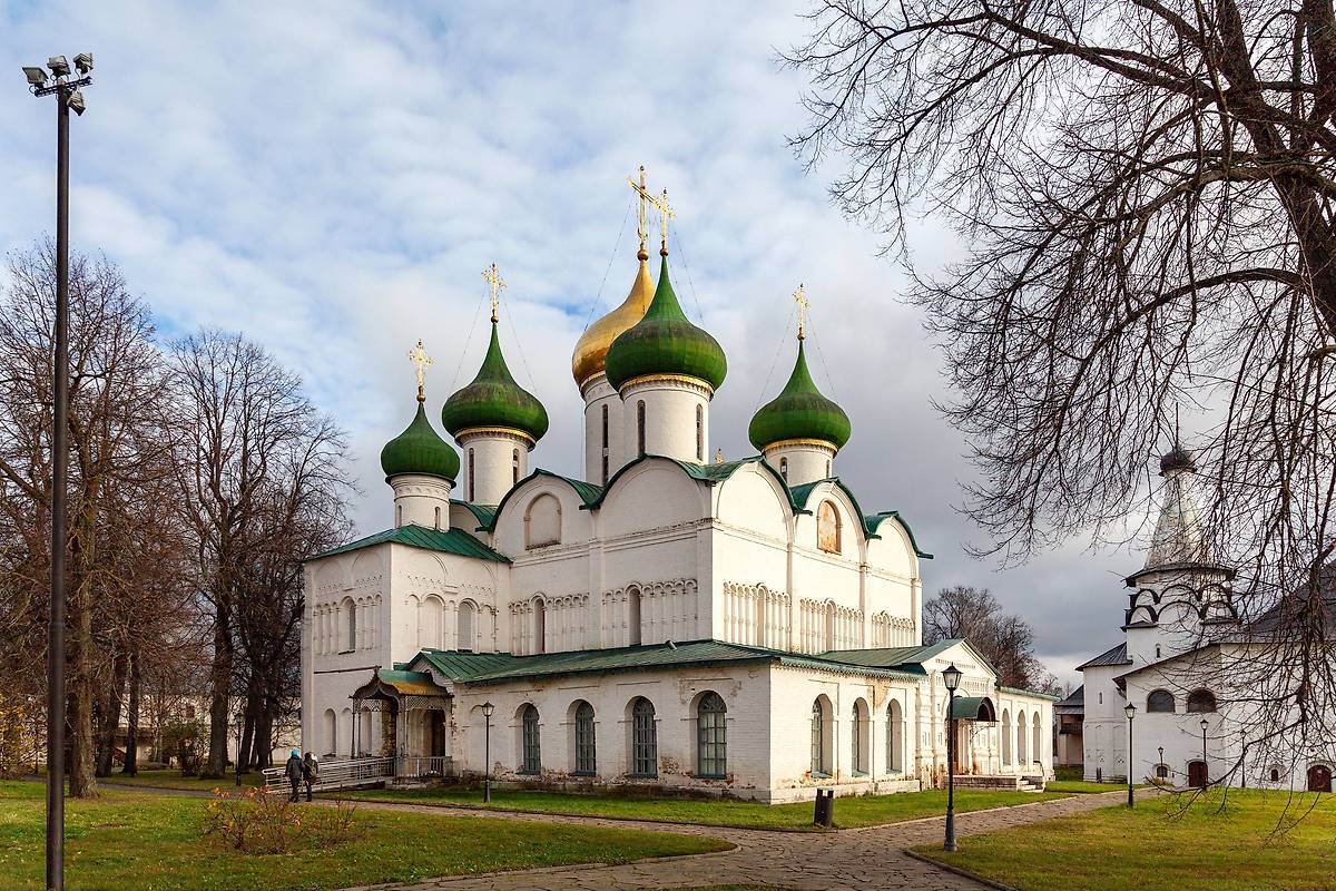 общий вид в ландшафте. Спасо-Евфимиевский монастырь. Собор Преображения Господня, Суздаль (Суздальский район, Владимирская область)