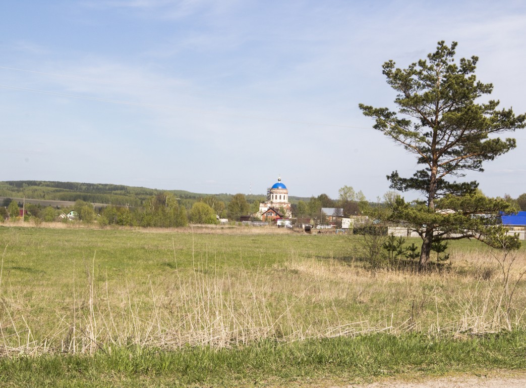 Церковь Рождества Христова, Хвощевка (Богородский район, Нижегородская область). общий вид в ландшафте