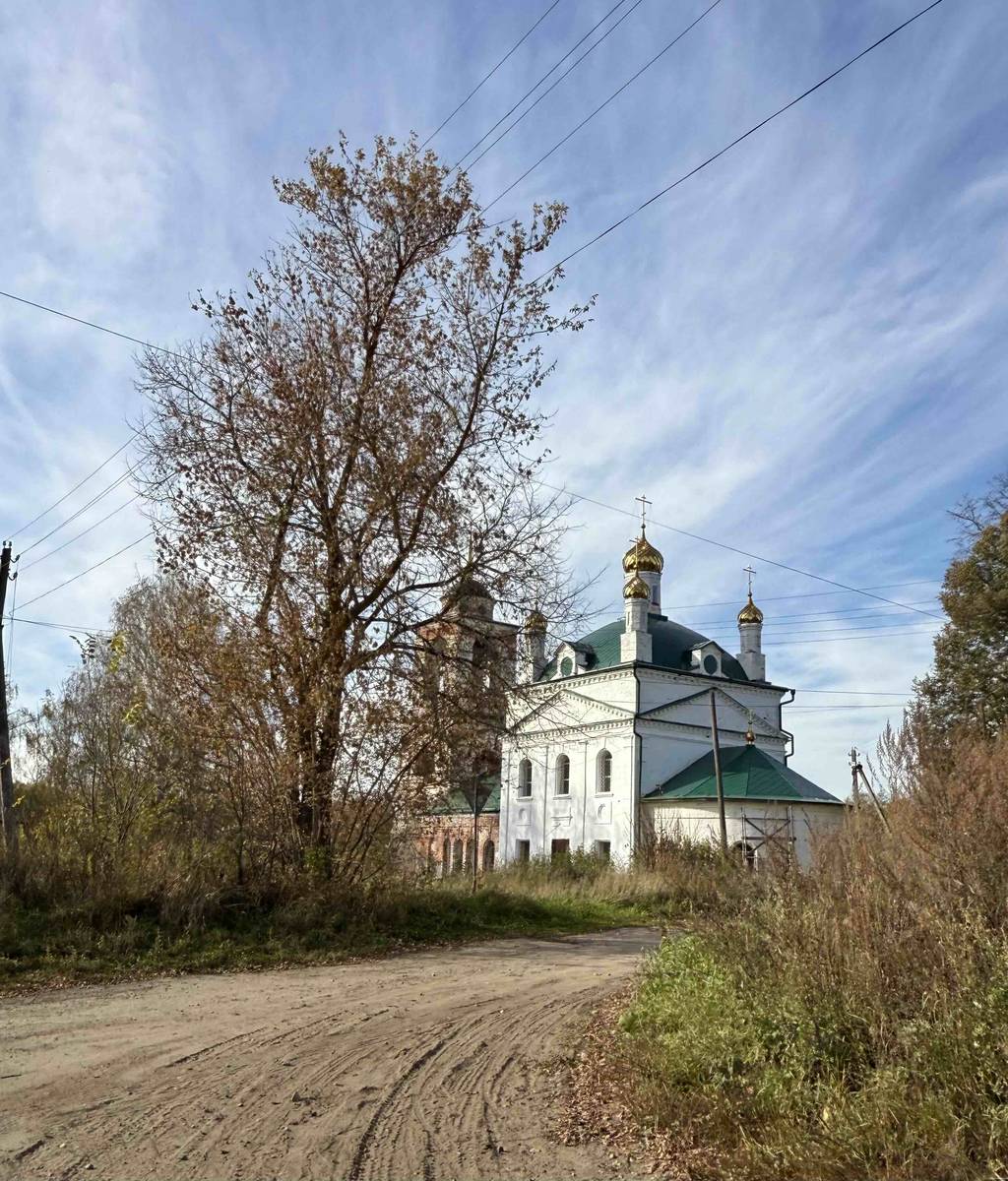 Церковь Успения Пресвятой Богородицы, Станки (Вязниковский район, Владимирская область). общий вид в ландшафте