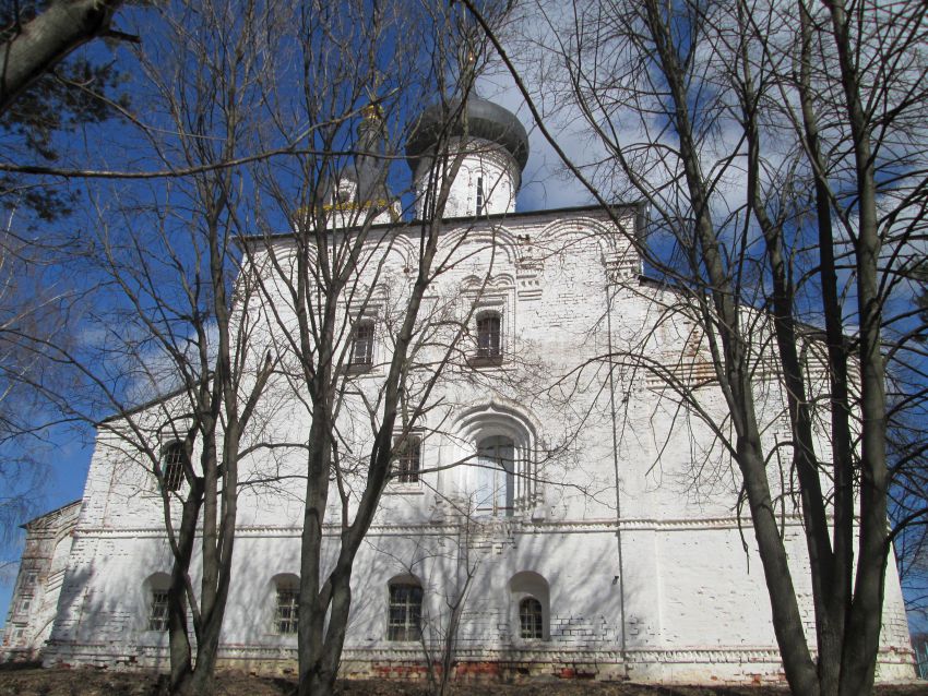 Сновицы. Благовещенский женский монастырь. Церковь Благовещения Пресвятой Богородицы. архитектурные детали, южный фасад