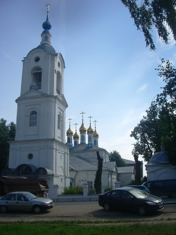 Церковь Покрова Пресвятой Богородицы, Покров (Петушинский район, Владимирская область). общий вид в ландшафте