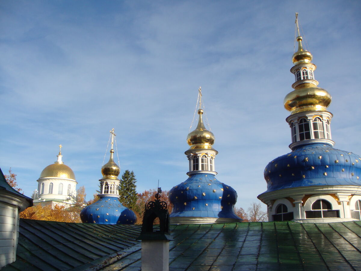 Успенский Псково-Печерский монастырь. Собор Успения Пресвятой Богородицы, Печоры (Печорский район, Псковская область). архитектурные детали, Вид на купола собора