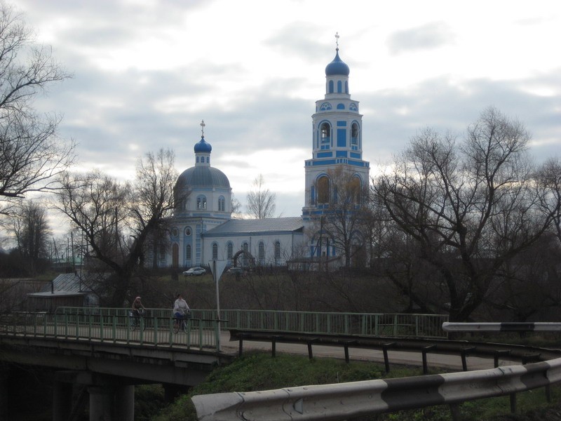 Церковь Троицы Живоначальной, Саконы (Ардатовский район, Нижегородская область). общий вид в ландшафте