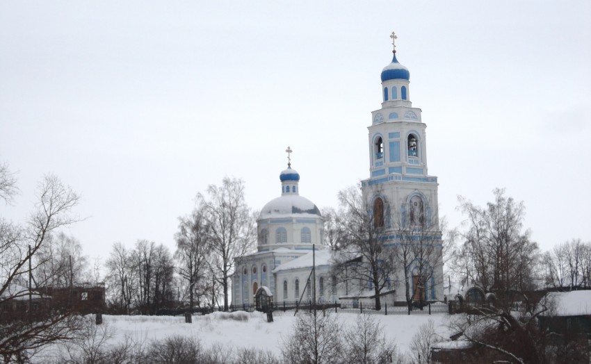 Саконы. Церковь Троицы Живоначальной. общий вид в ландшафте