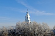 Церковь Троицы Живоначальной, , Саконы, Ардатовский район, Нижегородская область