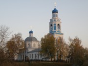 Церковь Троицы Живоначальной, , Саконы, Ардатовский район, Нижегородская область