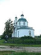 Саконы. Троицы Живоначальной, церковь