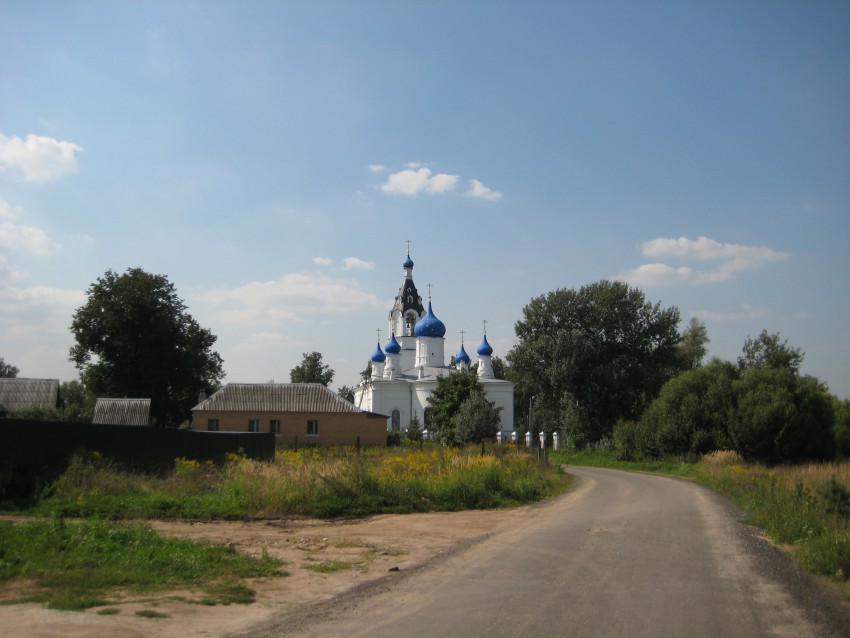 Церковь Казанской иконы Божией Матери, Казанское (Павлово-Посадский городской округ и г. Электрогорск, Московская область). общий вид в ландшафте