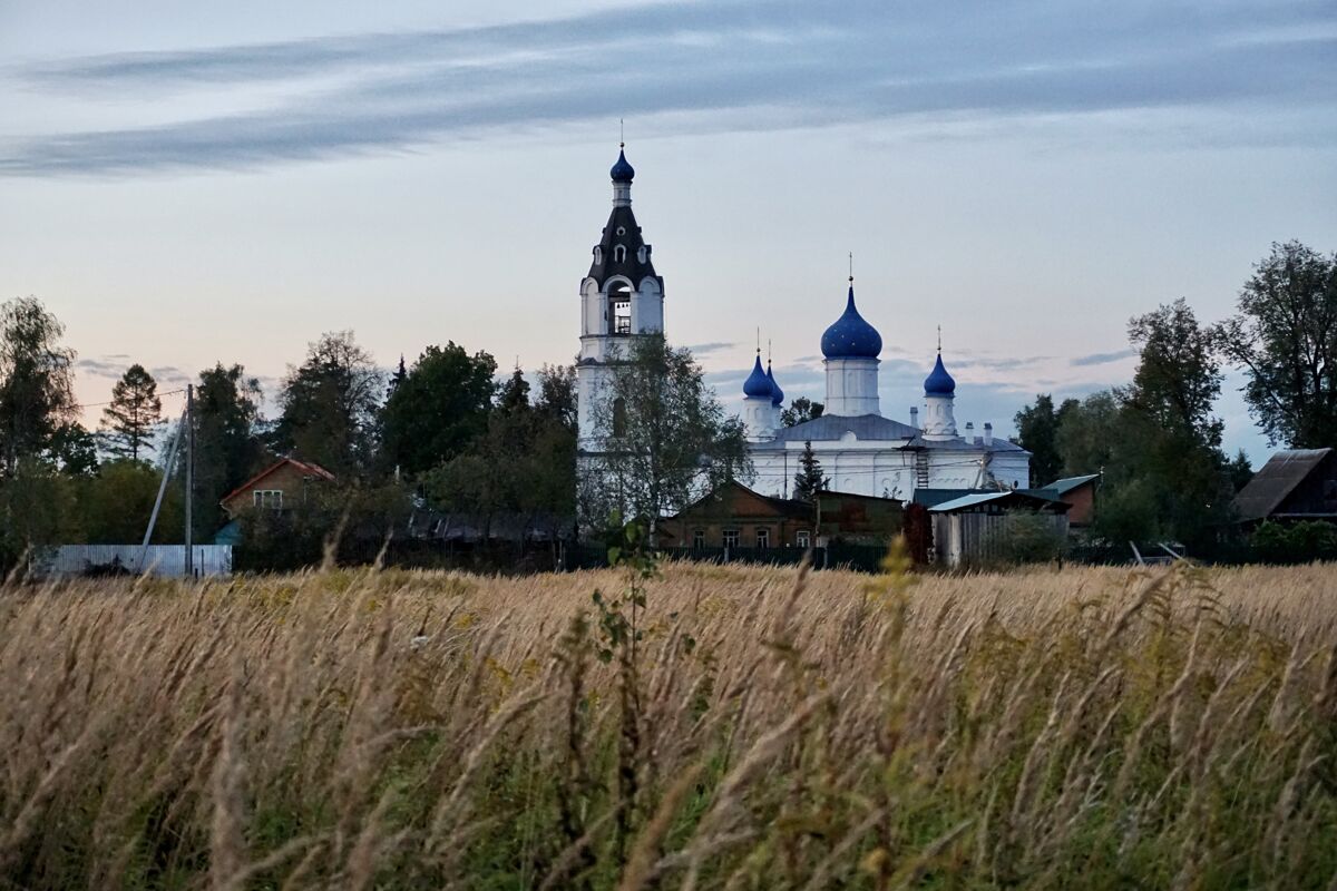 Церковь Казанской иконы Божией Матери, Казанское (Павлово-Посадский городской округ и г. Электрогорск, Московская область). общий вид в ландшафте