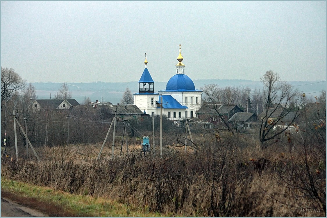 Церковь Рождества Пресвятой Богородицы, Федосьино (Юрьев-Польский район, Владимирская область). общий вид в ландшафте, здесь она уже с колокольней...