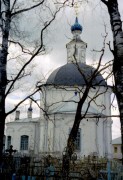 Церковь Рождества Пресвятой Богородицы - Ликино - Судогодский район - Владимирская область