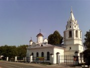 Церковь Иоанна Предтечи в Городищах-Коломна-Коломенский городской округ-Московская область-Русский Украинец