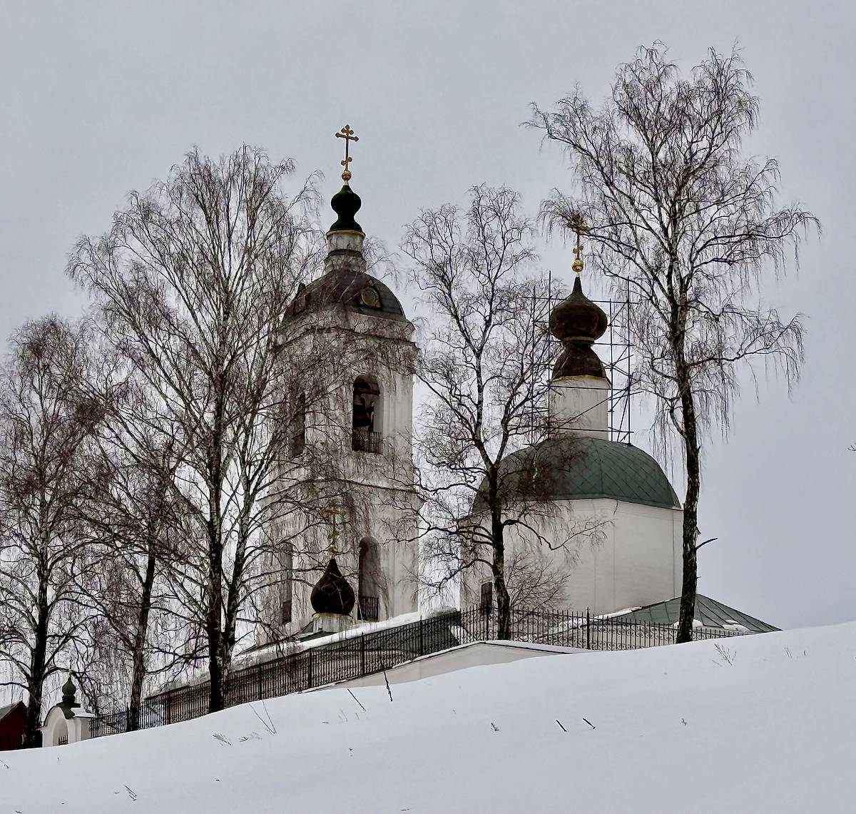 Вид с юго-востока, общий вид в ландшафте. Церковь Преображения Господня, Спас-Темня (Чеховский городской округ, Московская область)