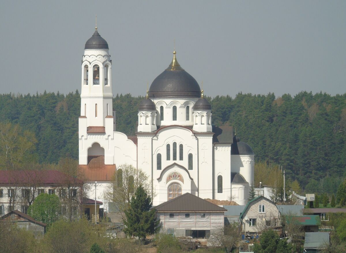 Собор Покрова Пресвятой Богородицы, Боровск (Боровский район, Калужская область). общий вид в ландшафте