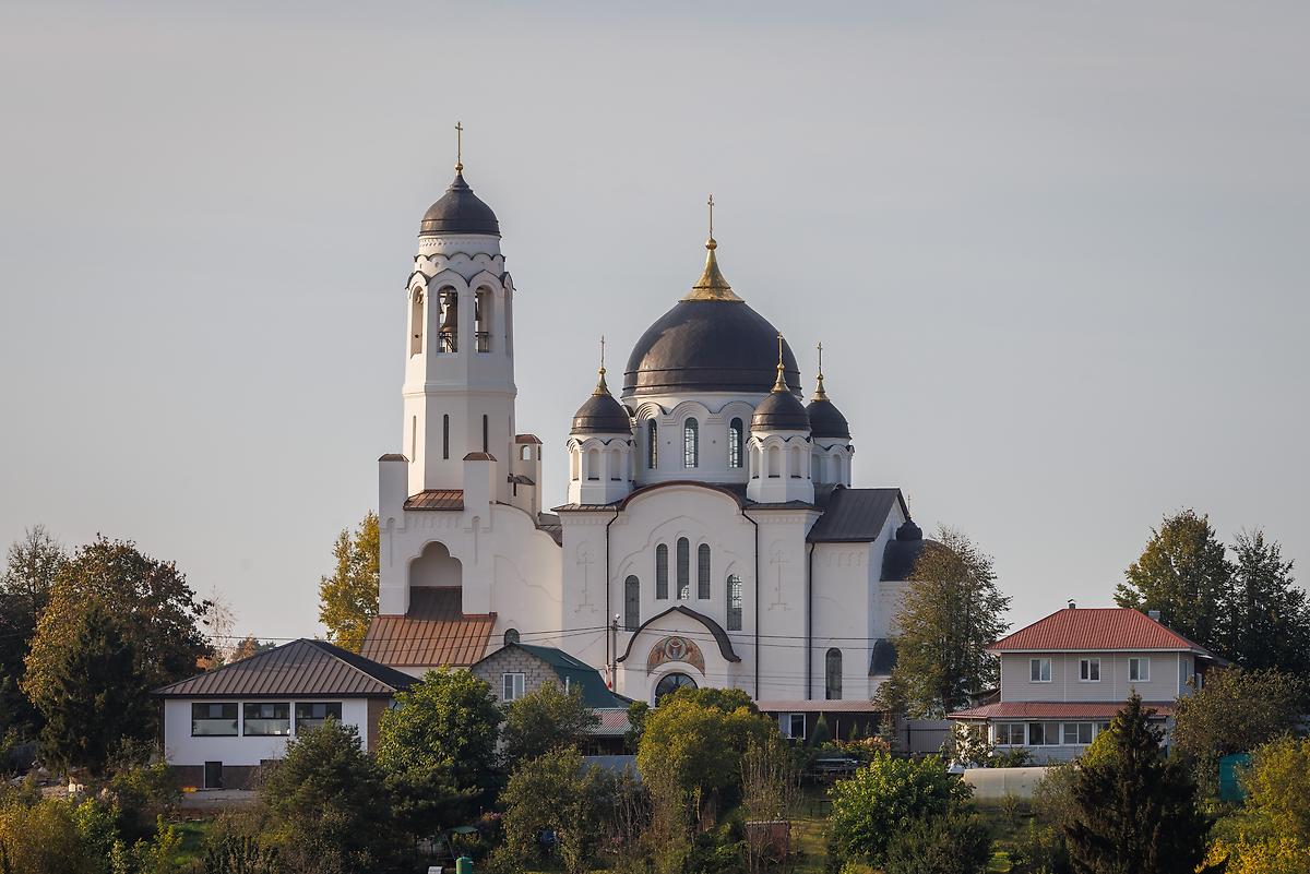 общий вид в ландшафте. Собор Покрова Пресвятой Богородицы, Боровск (Боровский район, Калужская область)