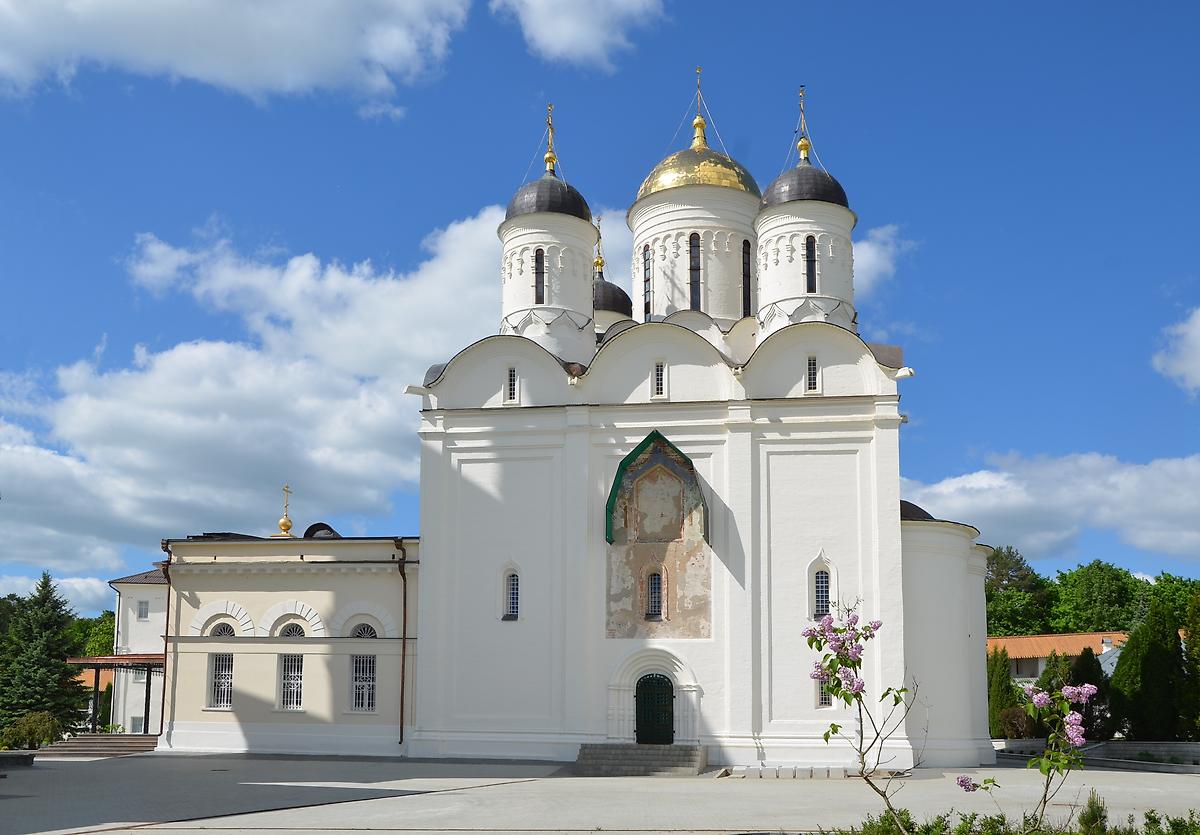 Южный фасад, фасады. Рождества Пресвятой Богородицы Пафнутиев Боровский мужской монастырь. Собор Рождества Пресвятой Богородицы, Боровск (Боровский район, Калужская область)
