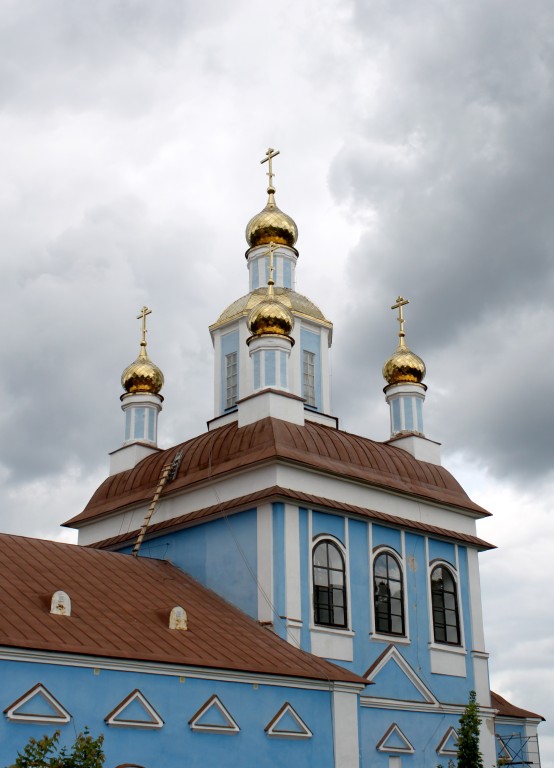 Церковь Казанской иконы Божией Матери, Борисоглеб (Судогодский район, Владимирская область). фасады, Церковь Иконы Божией Матери Казанская в Борисоглебе