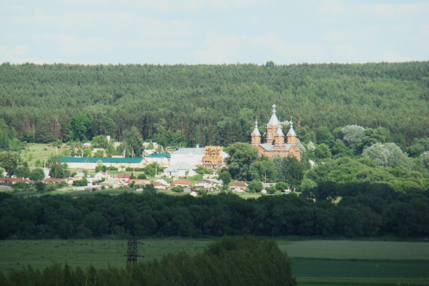 Тюнино. Богородицко-Тихоновский Тюнинский женский монастырь. общий вид в ландшафте