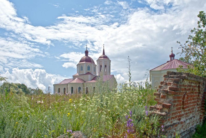 Ксизово. Церковь Николая Чудотворца. общий вид в ландшафте