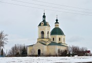 Церковь Богоявления Господня, Общий вид на ландшафте<br>, Паниковец, Задонский район, Липецкая область