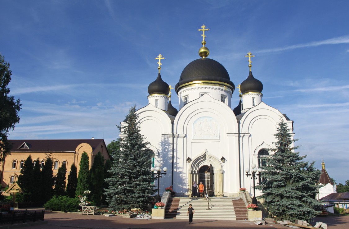 Тихоновский Преображенский женский монастырь, Скит, урочище (Задонский район, Липецкая область). фасады
