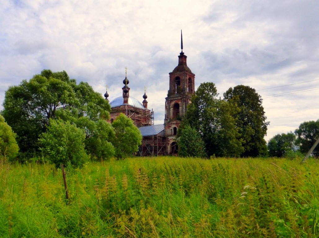Церковь Рождества Христова, Новосёлка (Александровский район, Владимирская область). общий вид в ландшафте