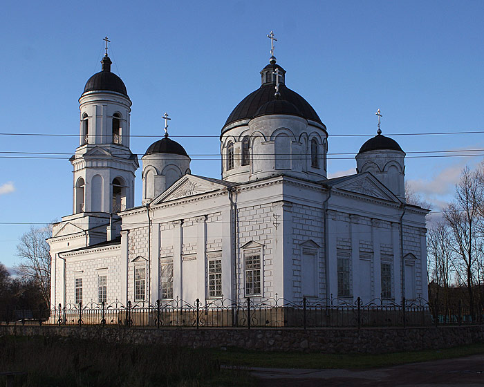 Собор Илии Пророка, Сольцы (Солецкий район, Новгородская область). фасады, Вид с юго-востока