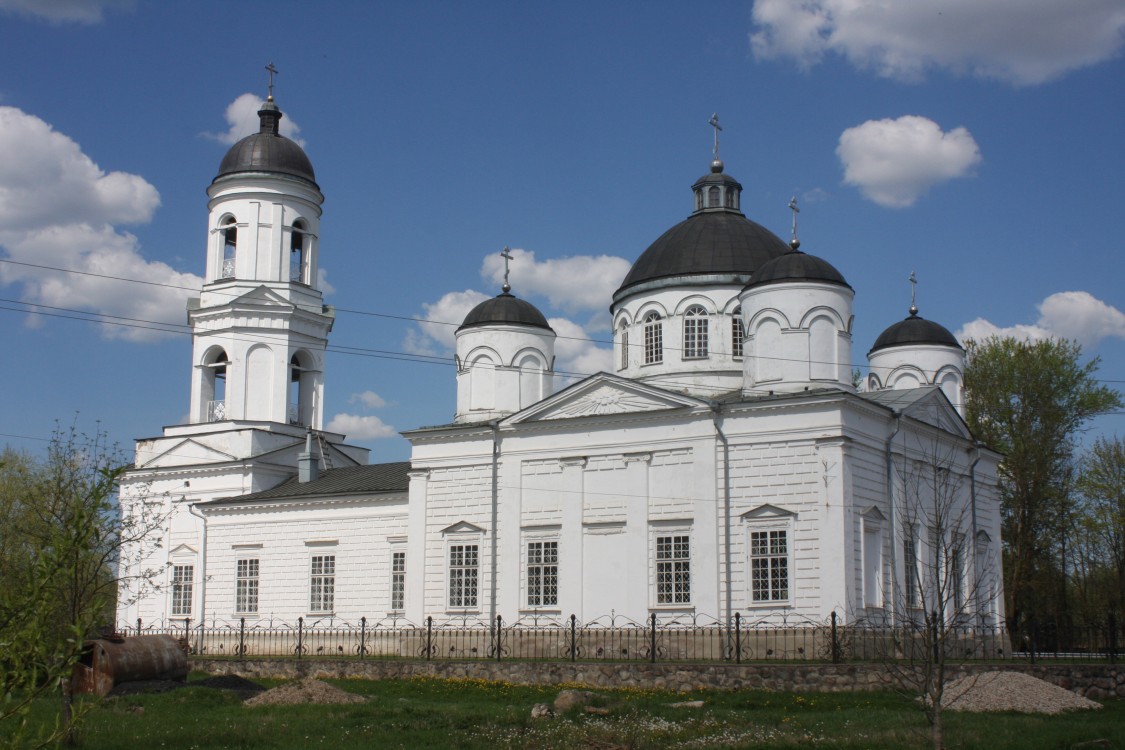 Собор Илии Пророка, Сольцы (Солецкий район, Новгородская область). фасады