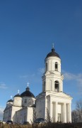 Собор Илии Пророка, , Сольцы, Солецкий район, Новгородская область