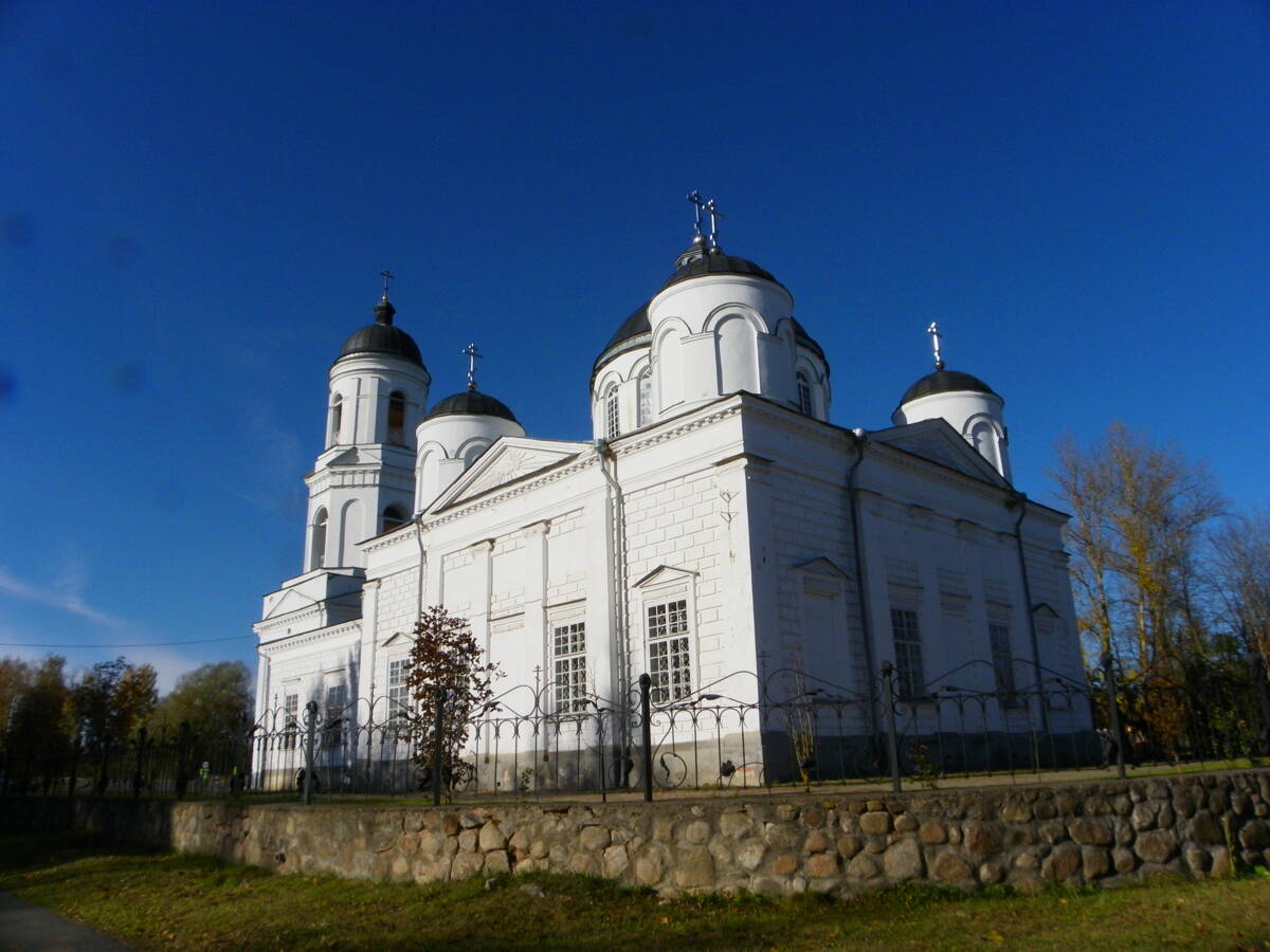 Собор Илии Пророка, Сольцы (Солецкий район, Новгородская область). фасады