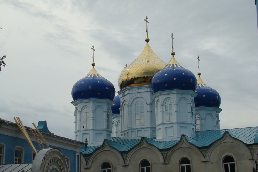 Задонск. Задонский Рождество-Богородицкий мужской монастырь. Церковь Рождества Богородицы. архитектурные детали