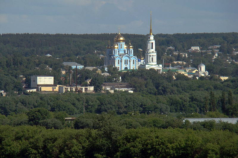 Задонский Рождество-Богородицкий мужской монастырь. Собор Владимирской иконы Божией Матери, Задонск (Задонский район, Липецкая область). общий вид в ландшафте