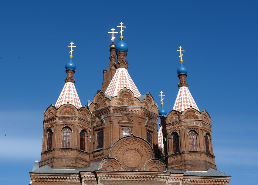 Церковь Елецкой иконы Божией Матери, Елец (Елецкий район и г. Елец, Липецкая область). архитектурные детали, купола храма