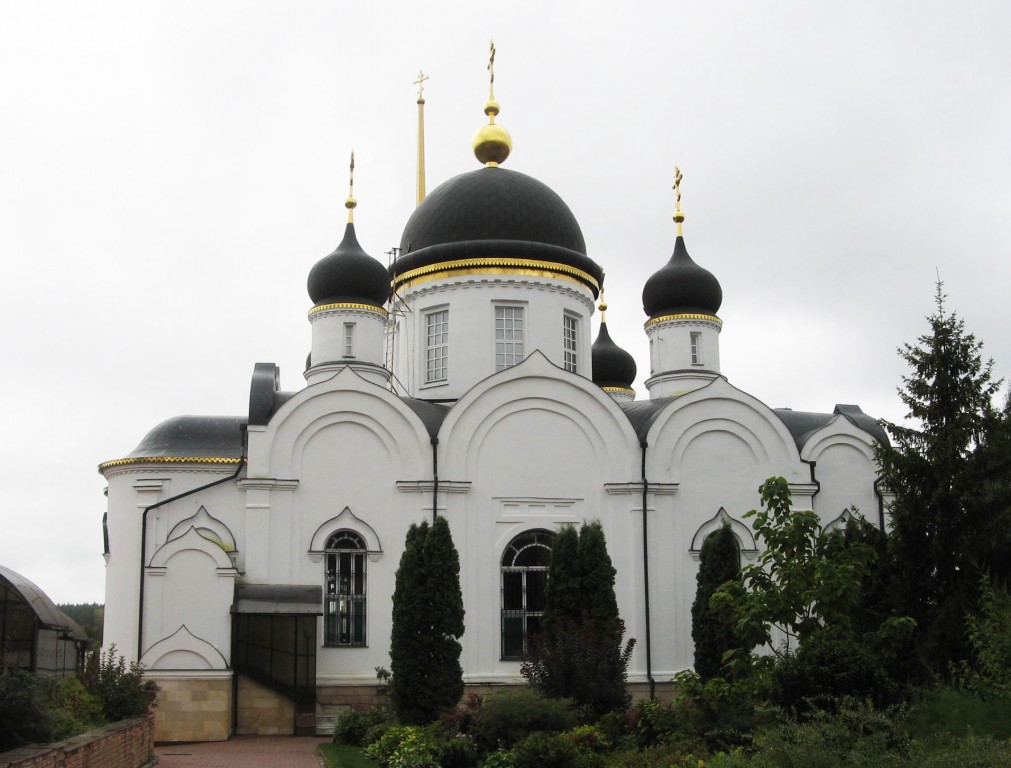 Тихоновский Преображенский женский монастырь. Собор Троицы Живоначальной, Скит, урочище (Задонский район, Липецкая область). фасады, Северный фасад собора