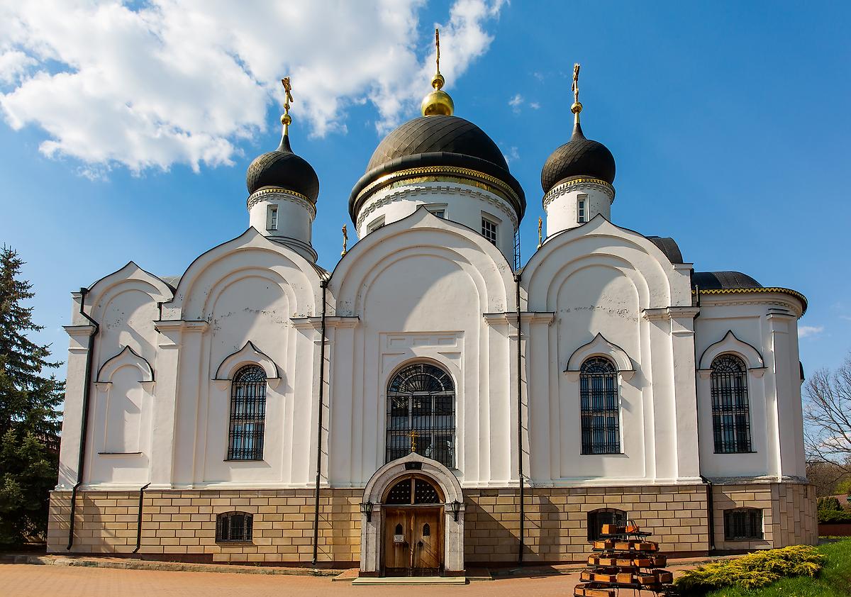 фасады. Тихоновский Преображенский женский монастырь. Собор Троицы Живоначальной, Скит, урочище (Задонский район, Липецкая область)