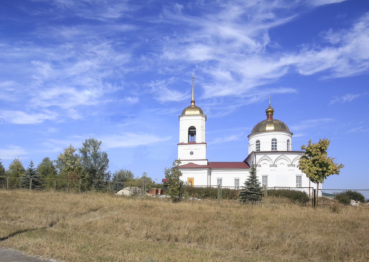 Церковь Параскевы Пятницы, Болховское (Задонский район, Липецкая область). общий вид в ландшафте