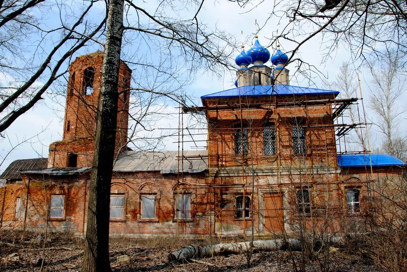Церковь Рождества Пресвятой Богородицы, Хавки (Венёвский район, Тульская область). документальные фотографии, Вид с юга