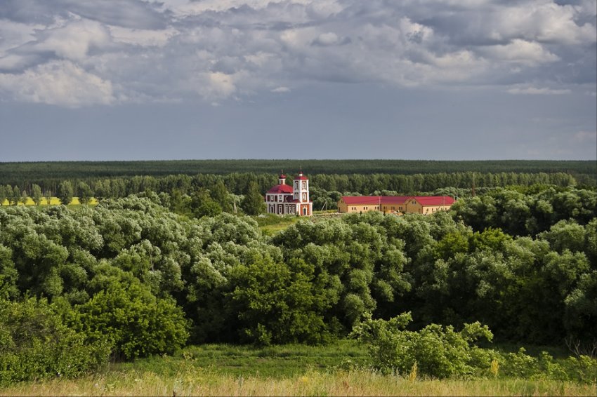 Церковь Николая Чудотворца, Каменка (Задонский район, Липецкая область). общий вид в ландшафте