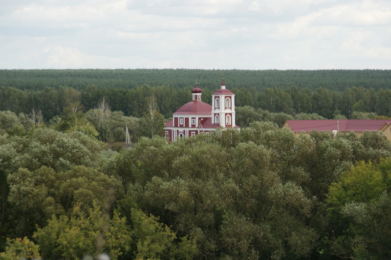 Церковь Николая Чудотворца, Каменка (Задонский район, Липецкая область). общий вид в ландшафте