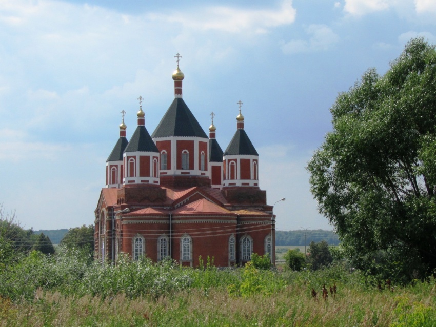 Церковь Иверской иконы Божией Матери, Борщевое (Венёвский район, Тульская область). общий вид в ландшафте, вид с востока