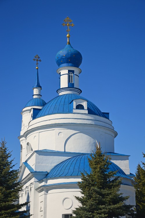 Церковь Спаса Всемилостивого, Спасское (Новомосковский район, Тульская область). фасады