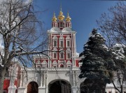 Новодевичий монастырь. Церковь Преображения Господня