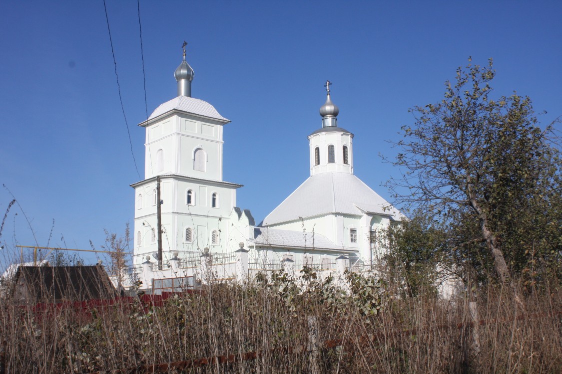 Церковь Николая Чудотворца, Медвенка (Тула, город, Тульская область). общий вид в ландшафте