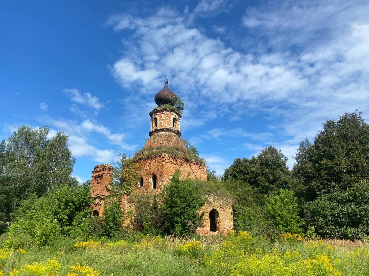 Церковь Троицы Живоначальной, Медведки (Тула, город, Тульская область). общий вид в ландшафте