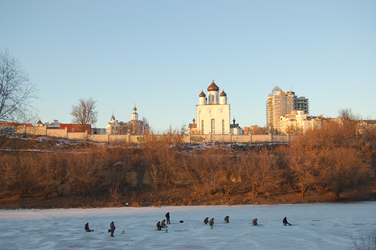 Успенский мужской монастырь, Орёл (Орёл, город, Орловская область). общий вид в ландшафте